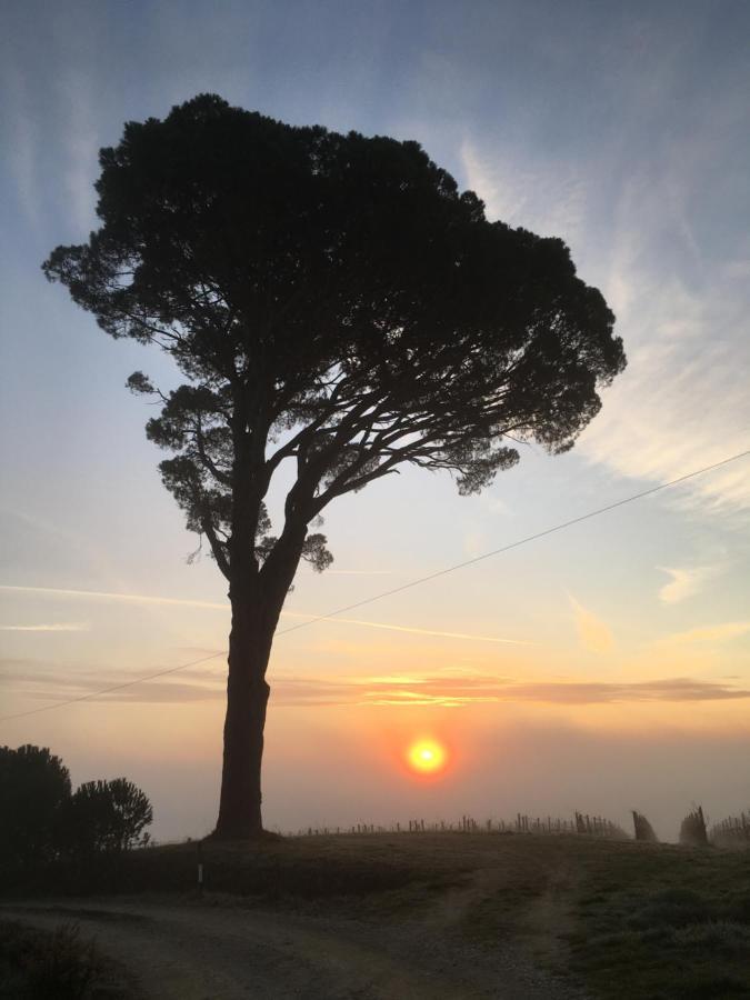 La Falconara Montepulciano Stazione 외부 사진