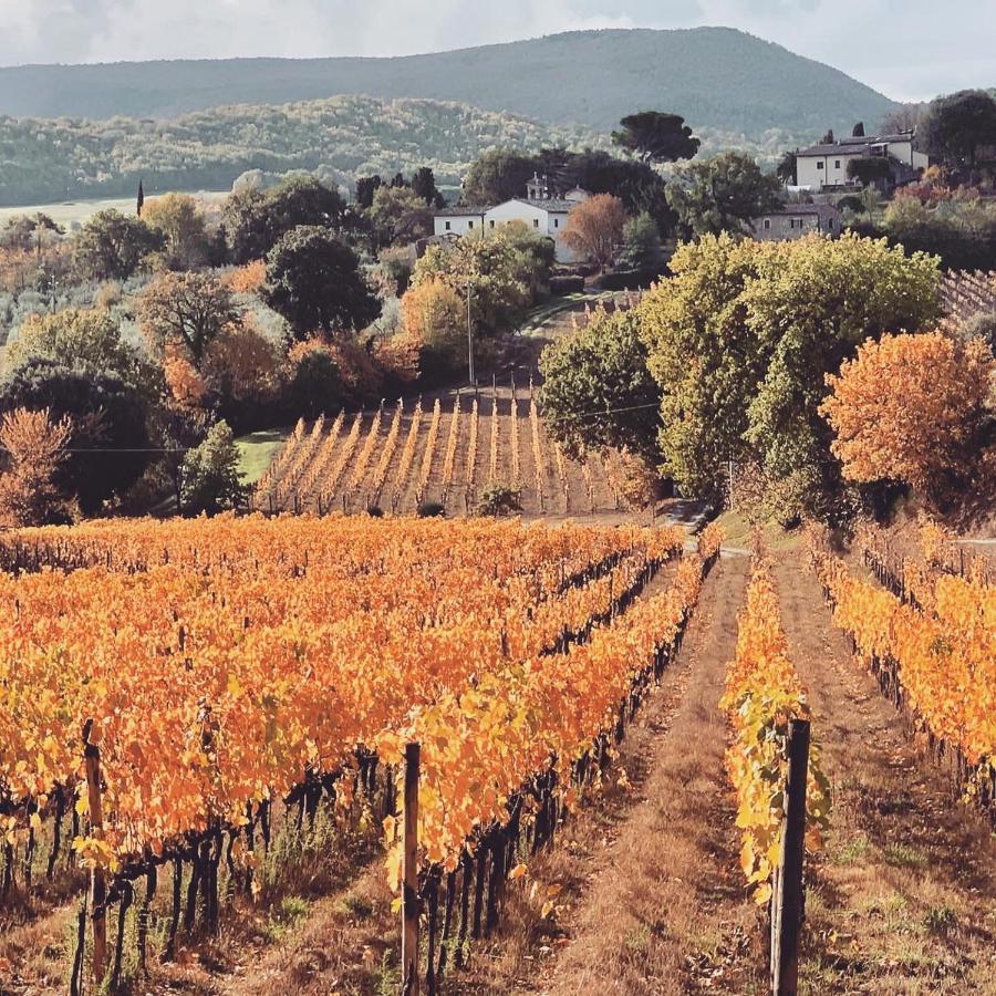 La Falconara Montepulciano Stazione 외부 사진