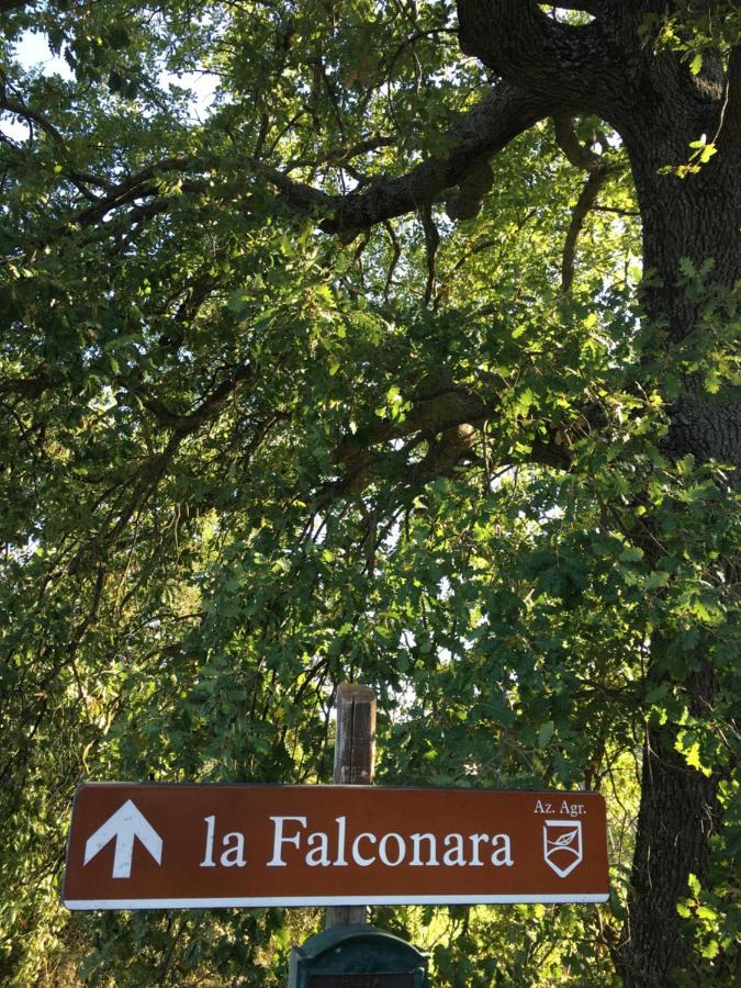 La Falconara Montepulciano Stazione 외부 사진