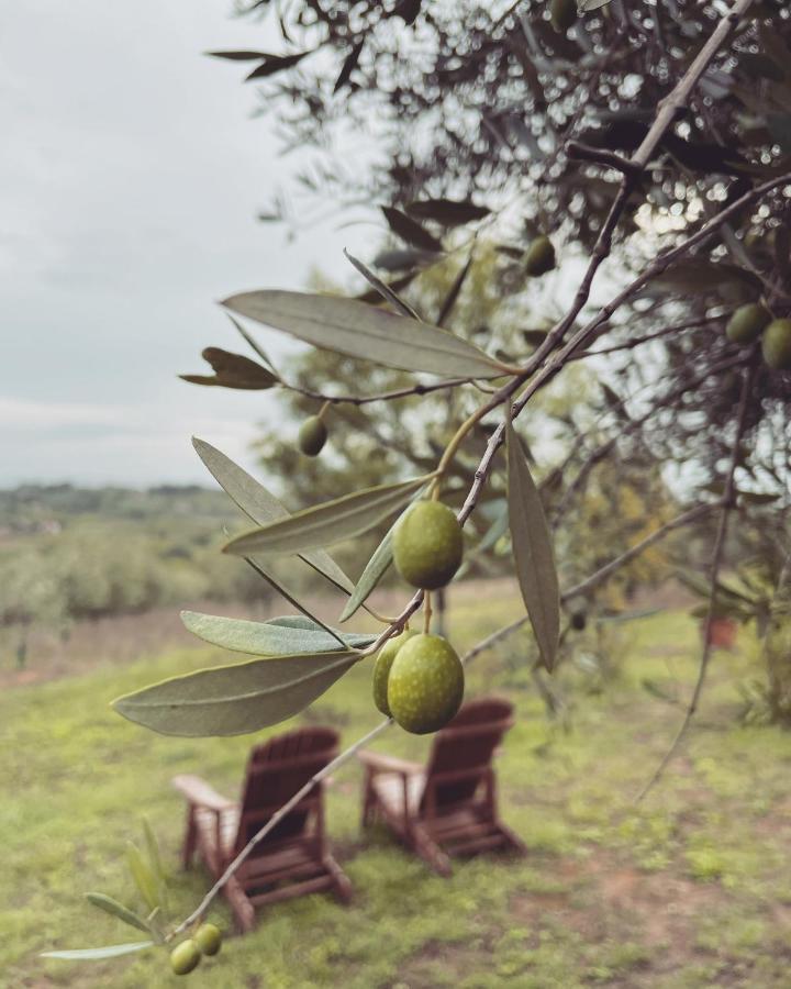 La Falconara Montepulciano Stazione 외부 사진