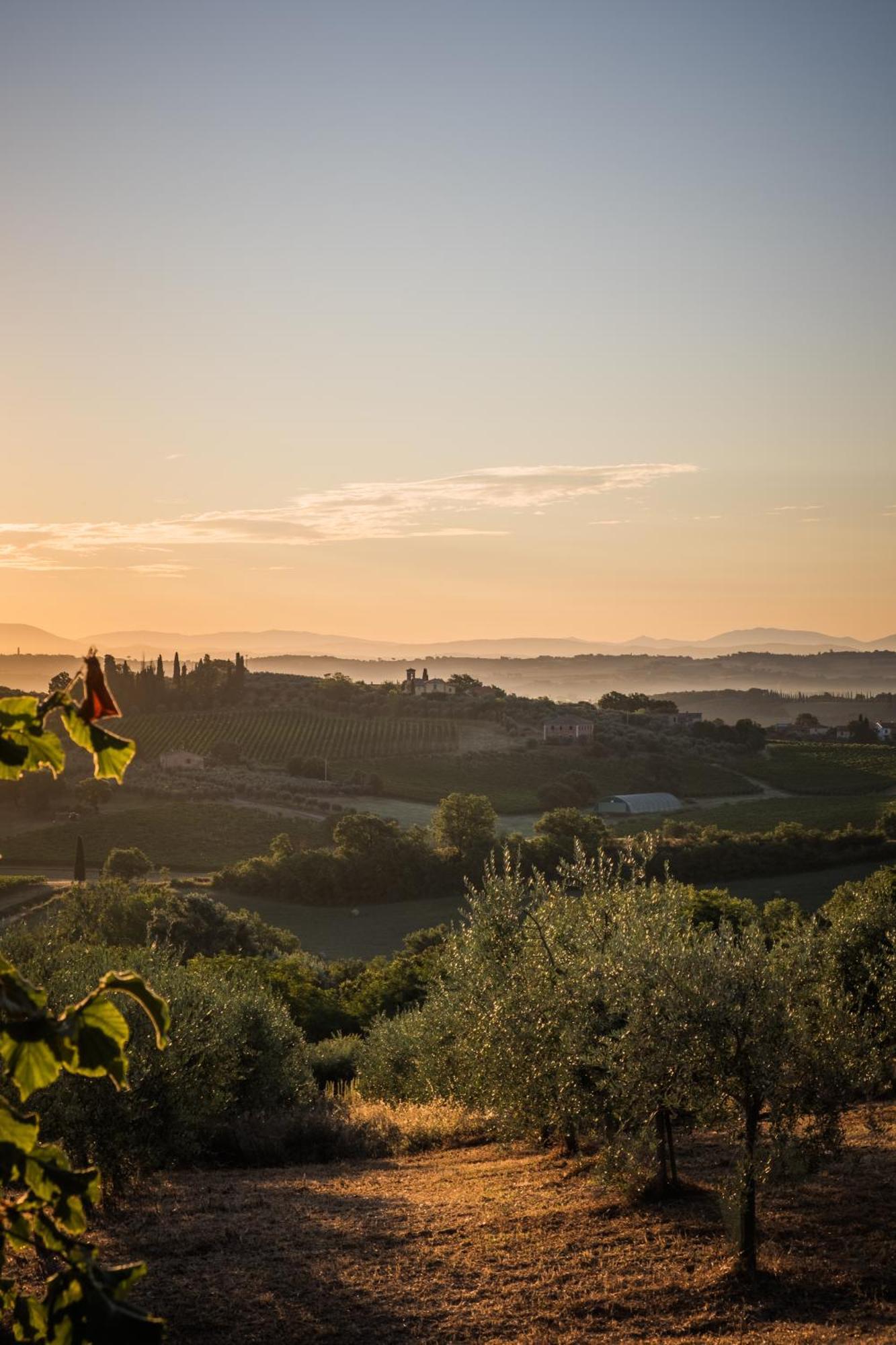La Falconara Montepulciano Stazione 외부 사진