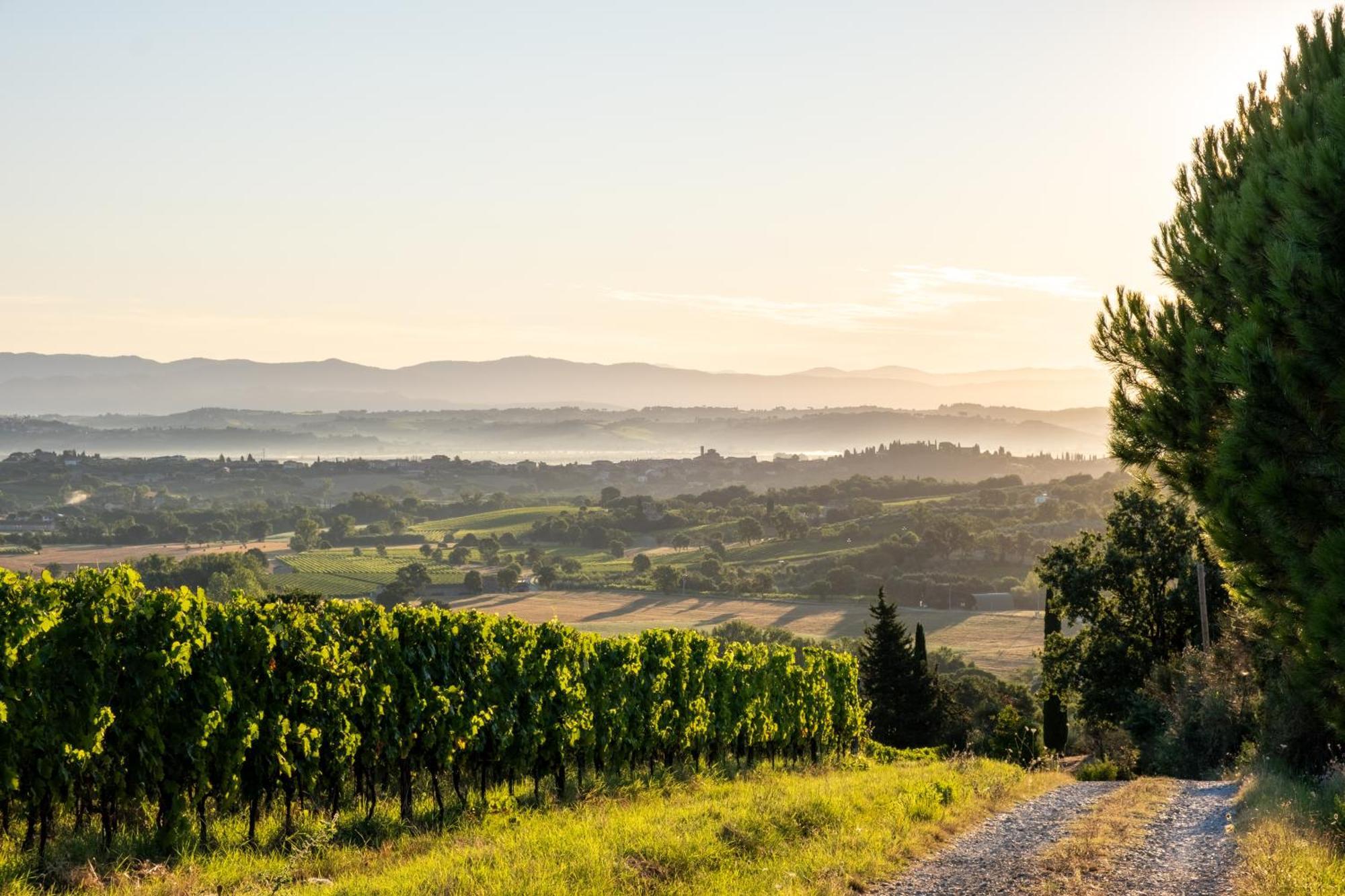 La Falconara Montepulciano Stazione 외부 사진